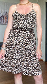 BERMUDAA FARFALLA LEO